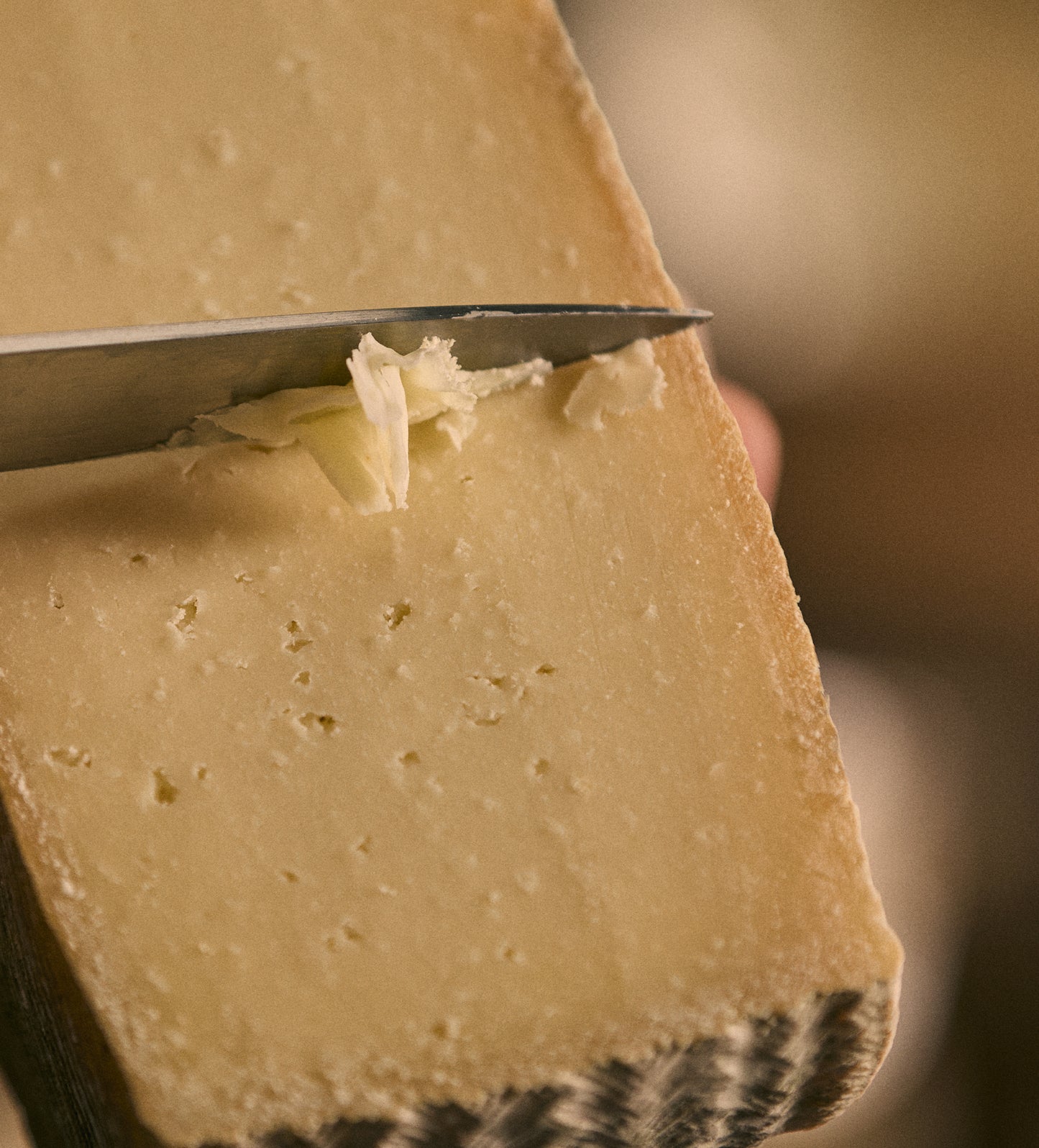 1605 Manchego