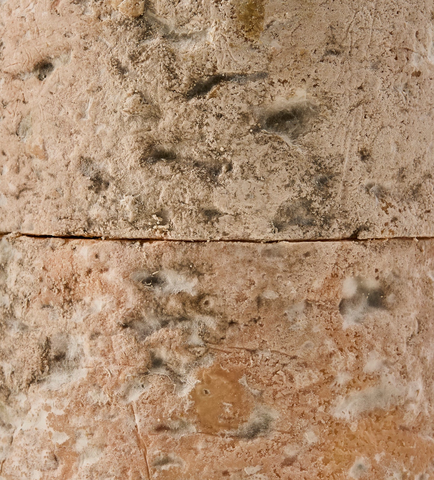 Fourme d'Ambert
