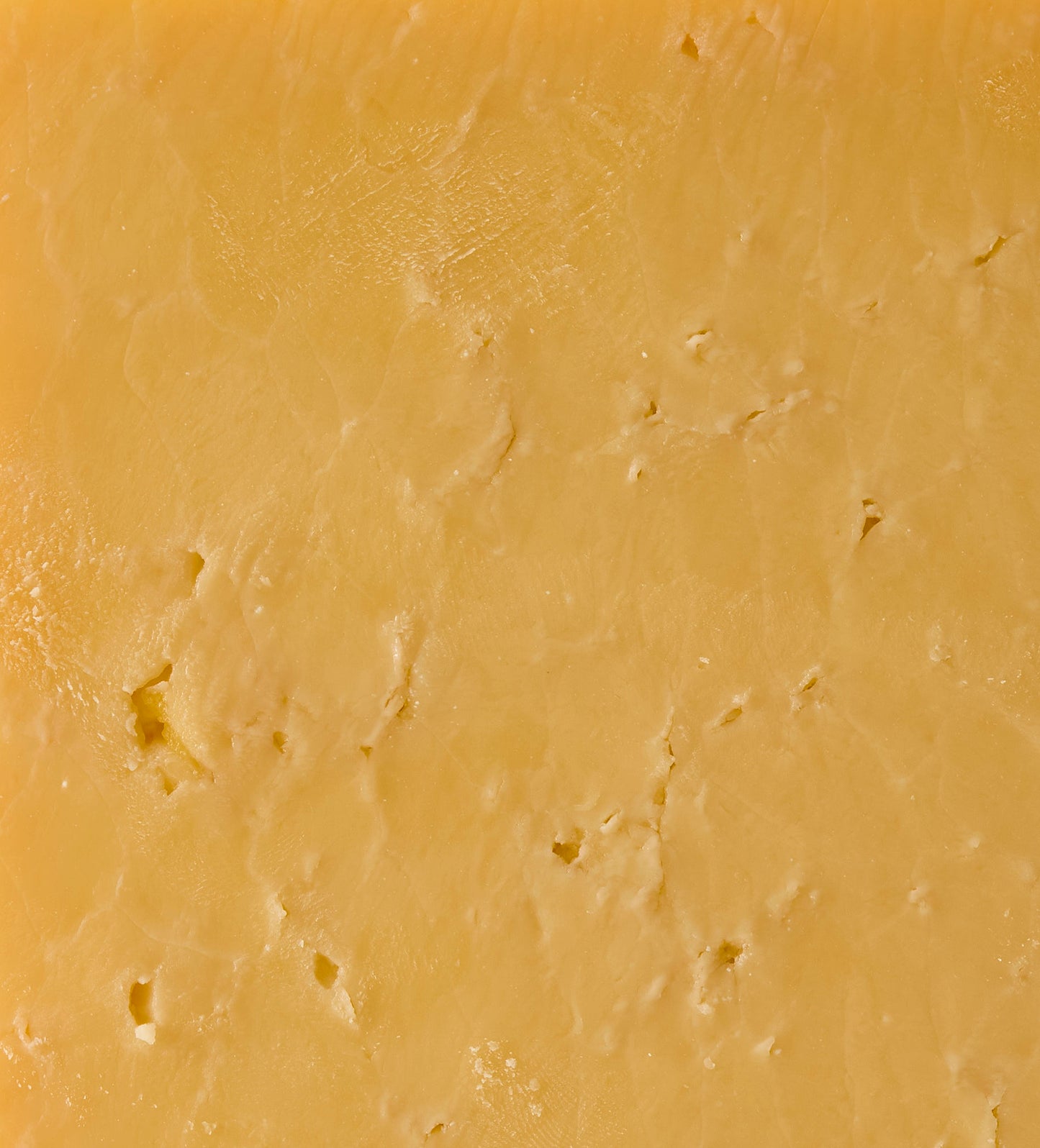 Shelburne 2 Year Cheddar