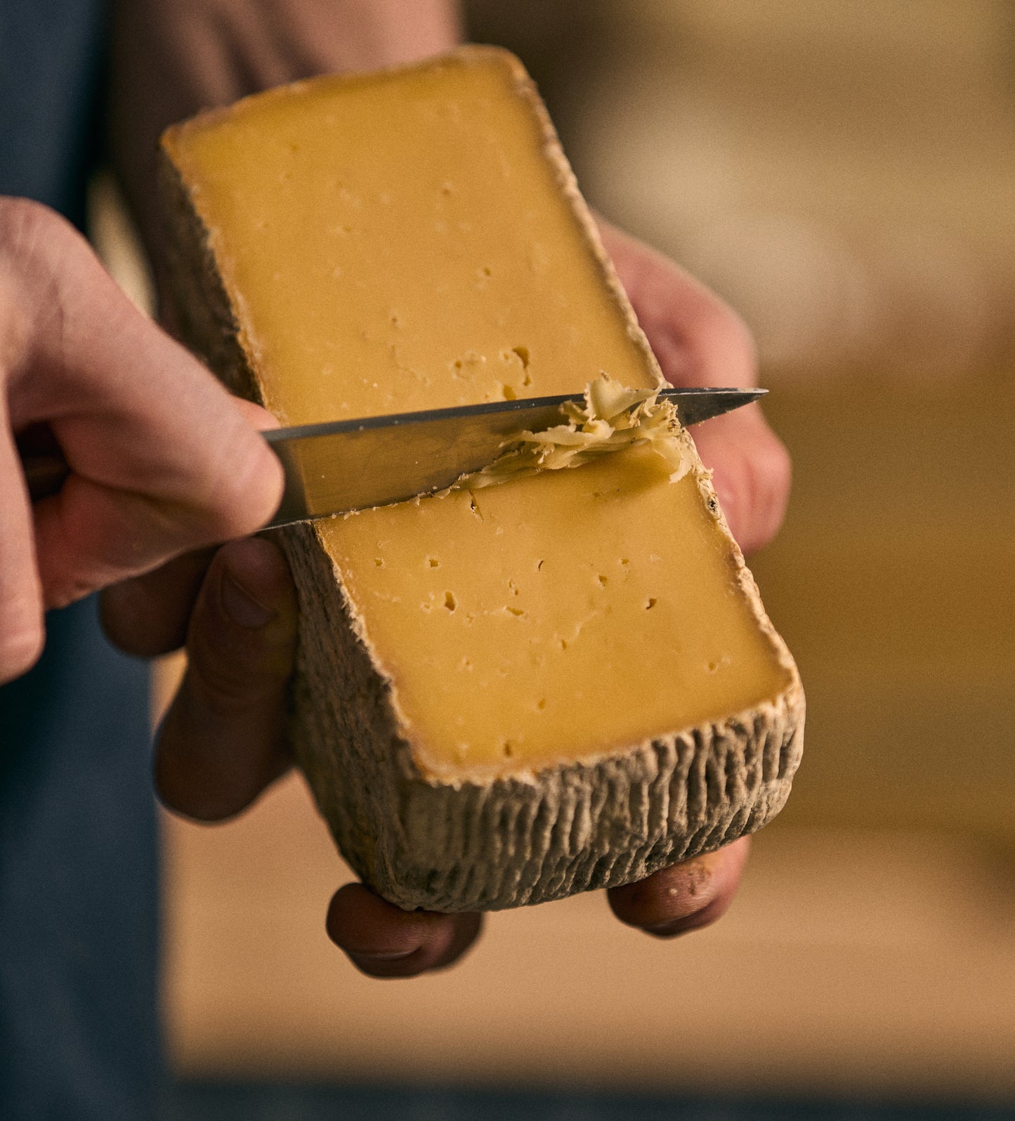 Swallowtail Tomme