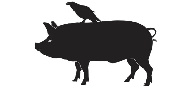 RAVEN & BOAR POP UP
