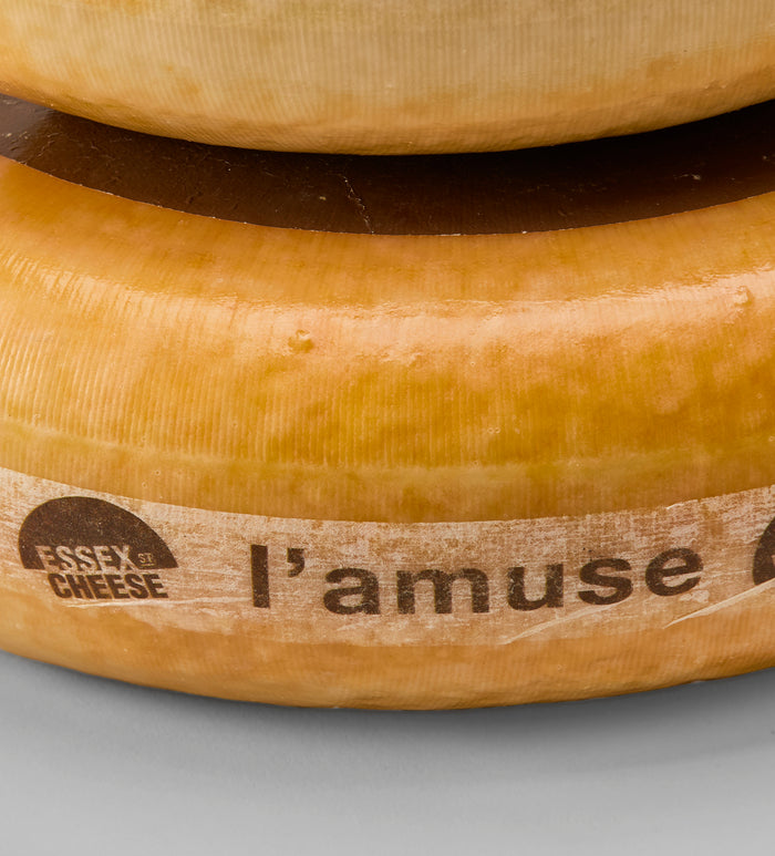 Brabander Gouda hover