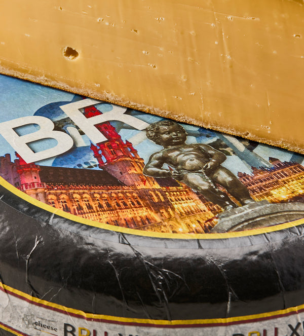 Bru XL hover