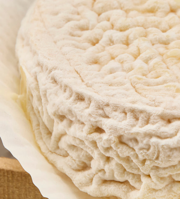 Deluxe Cheesemonger's Pick hover