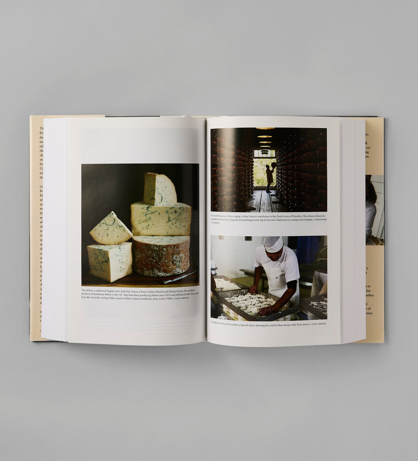 Oxford Companion to Cheese