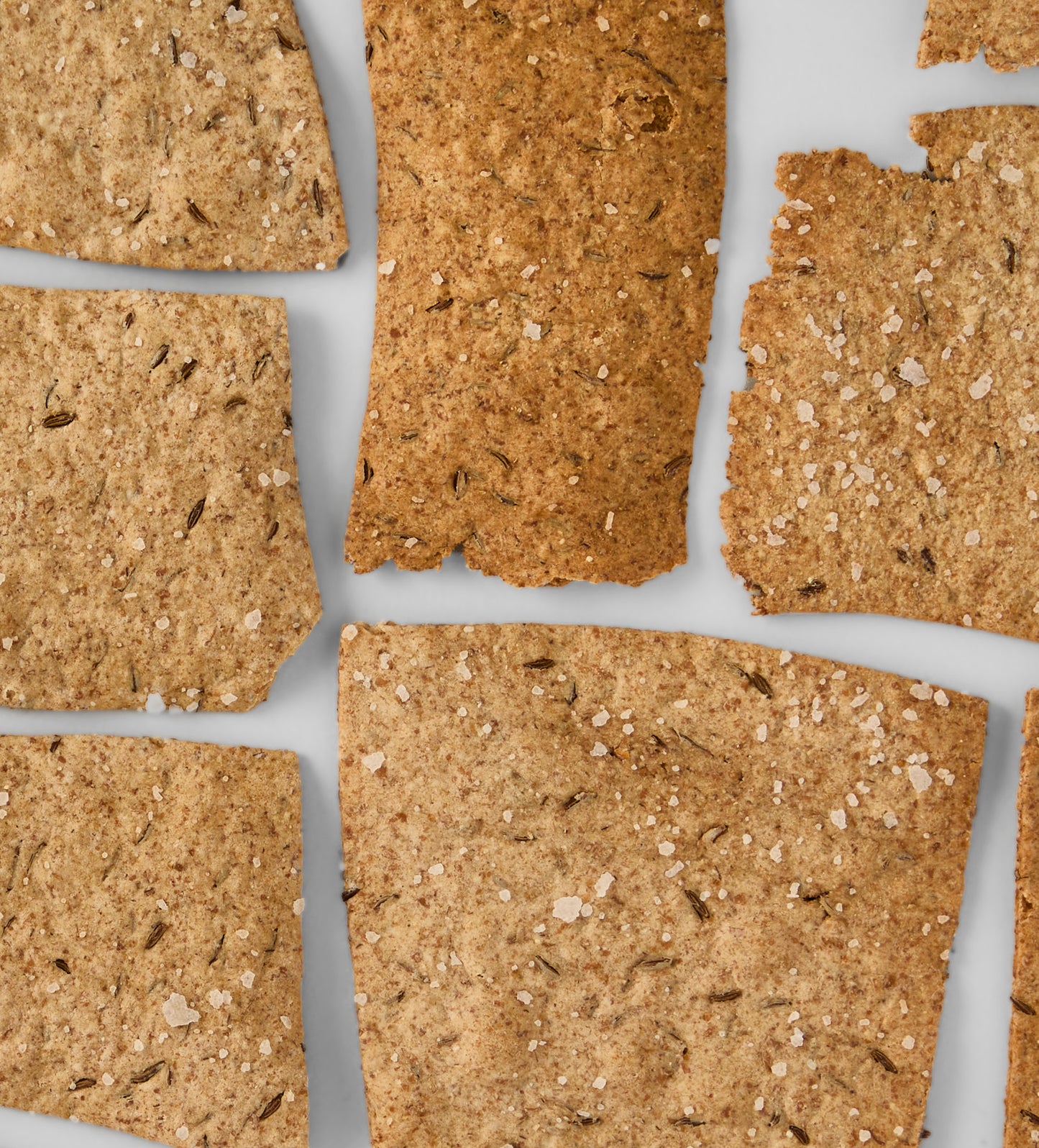 Talbott & Arding  Caraway Rye Crackers