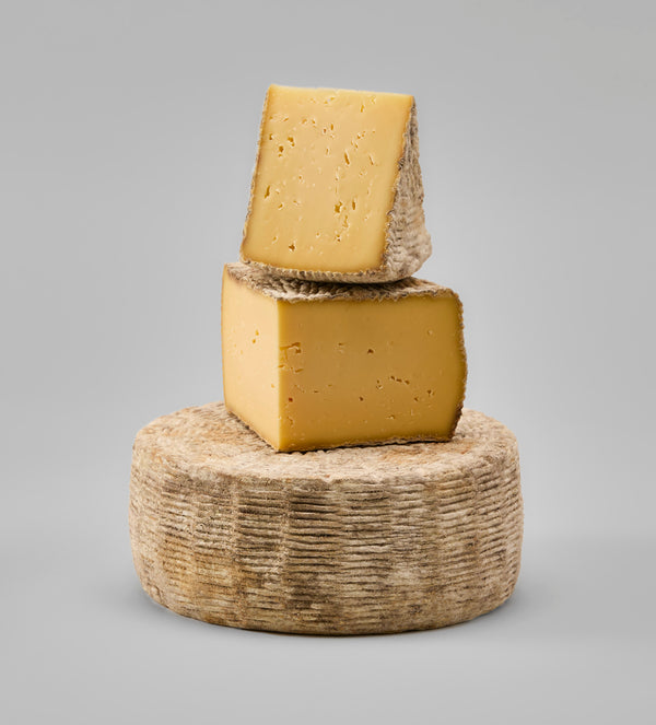 Swallowtail Tomme